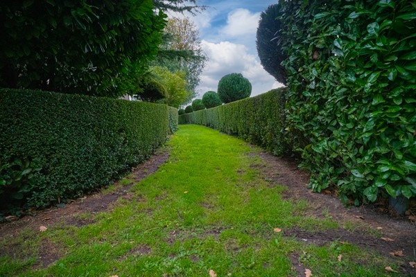 Medium property photo - Koestraat 31, 6988 AA Lathum